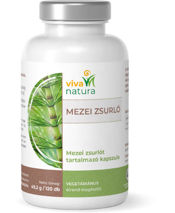 Изображение КАПСУЛИ ХВОЩ ПОЛЬОВИЙ