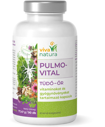 Изображение ПУЛЬМО ВІТАЛ