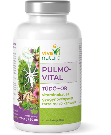 Изображение ПУЛЬМО ВІТАЛ